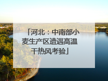 河北：中南部小麦生产区遭遇高温干热风考验