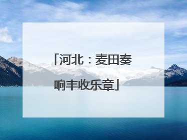 河北：麦田奏响丰收乐章