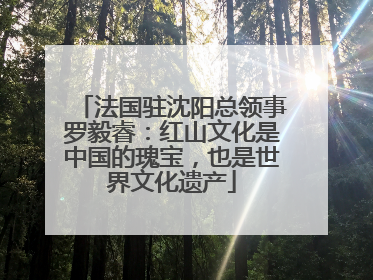法国驻沈阳总领事罗毅睿：红山文化是中国的瑰宝，也是世界文化遗产