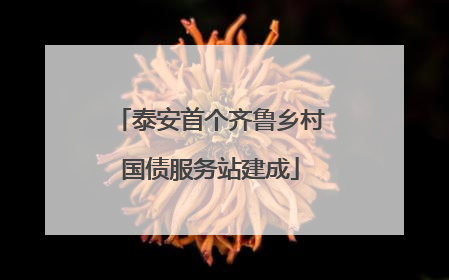 泰安首个齐鲁乡村国债服务站建成
