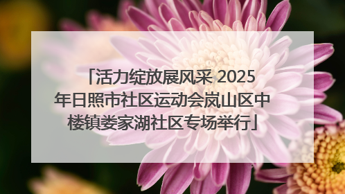 活力绽放展风采 2025年日照市社区运动会岚山区中楼镇娄家湖社区专场举行