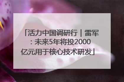 活力中国调研行｜雷军：未来5年将投2000亿元用于核心技术研发