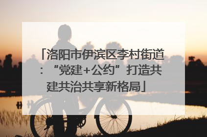 洛阳市伊滨区李村街道：“党建+公约”打造共建共治共享新格局