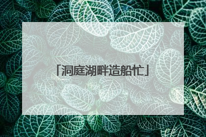 洞庭湖畔造船忙