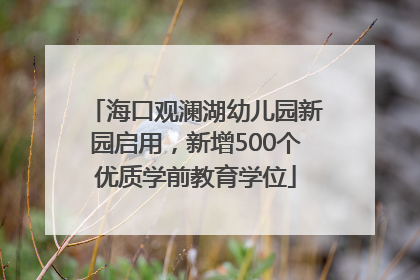 海口观澜湖幼儿园新园启用，新增500个优质学前教育学位