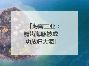 海南三亚：糙齿海豚被成功放归大海