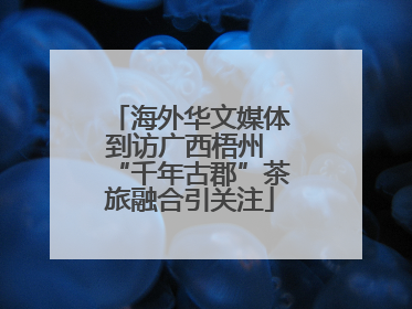 海外华文媒体到访广西梧州 “千年古郡”茶旅融合引关注