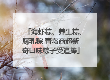 海虾粽、养生粽、腐乳粽 青岛商超新奇口味粽子受追捧
