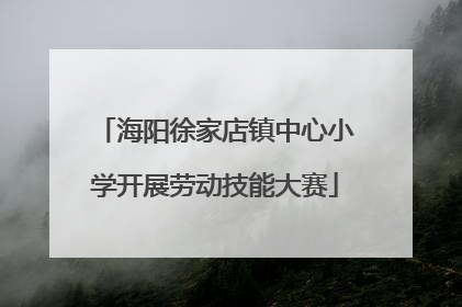 海阳徐家店镇中心小学开展劳动技能大赛