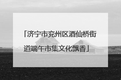 济宁市兖州区酒仙桥街道端午市集文化飘香