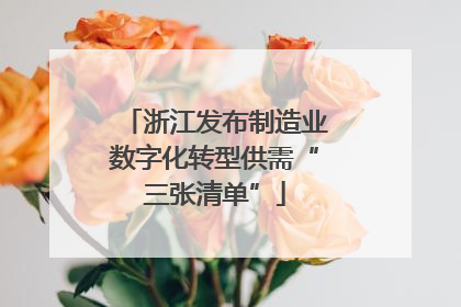 浙江发布制造业数字化转型供需“三张清单”