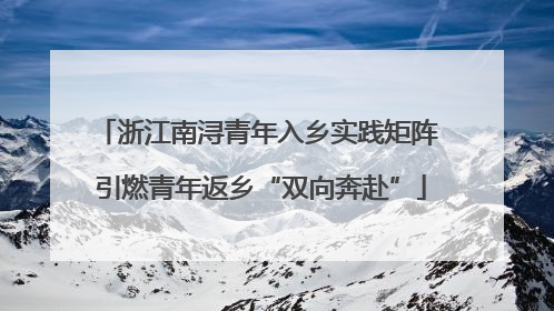 浙江南浔青年入乡实践矩阵 引燃青年返乡“双向奔赴”