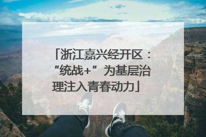 浙江嘉兴经开区：“统战+”为基层治理注入青春动力