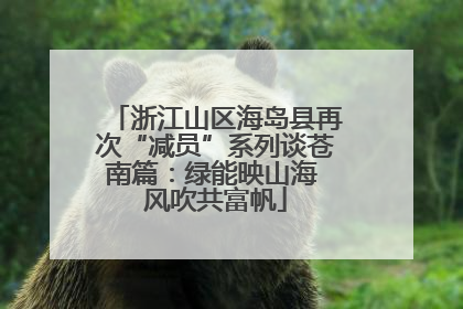 浙江山区海岛县再次“减员”系列谈苍南篇：绿能映山海 风吹共富帆