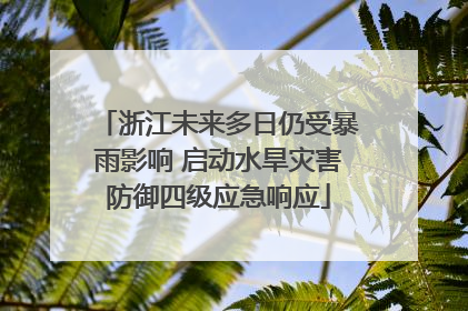 浙江未来多日仍受暴雨影响 启动水旱灾害防御四级应急响应