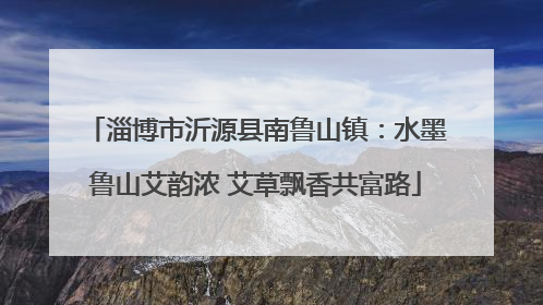 淄博市沂源县南鲁山镇：水墨鲁山艾韵浓 艾草飘香共富路