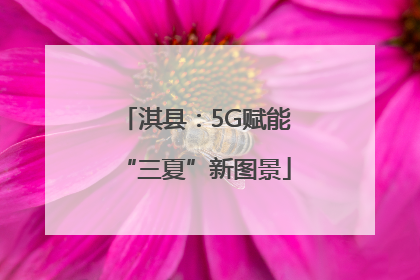 淇县：5G赋能“三夏”新图景