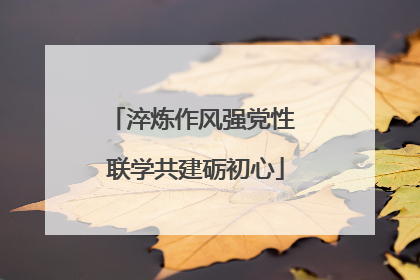 淬炼作风强党性 联学共建砺初心