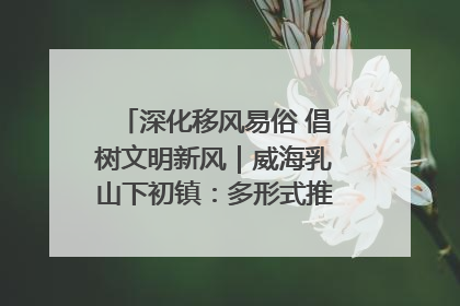 深化移风易俗 倡树文明新风｜威海乳山下初镇：多形式推进移风易俗 共筑文明和谐新风尚