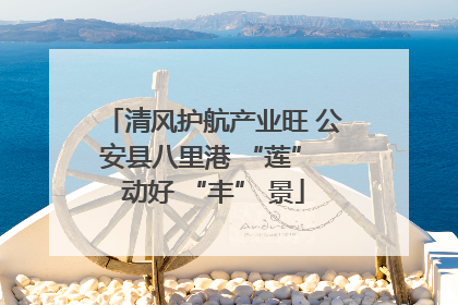 清风护航产业旺 公安县八里港 “莲” 动好 “丰” 景