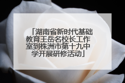 湖南省新时代基础教育王岳名校长工作室到株洲市第十九中学开展研修活动