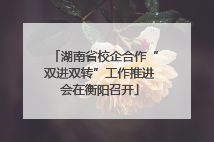 湖南省校企合作“双进双转”工作推进会在衡阳召开