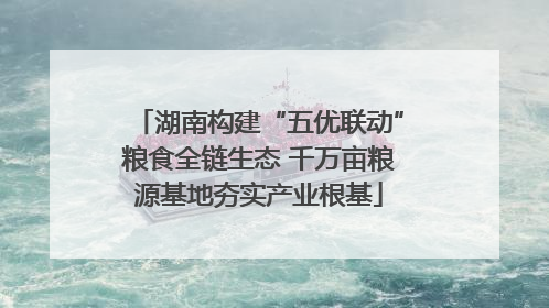 湖南构建“五优联动”粮食全链生态 千万亩粮源基地夯实产业根基