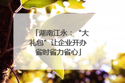 湖南江永：“大礼包”让企业开办省时省力省心