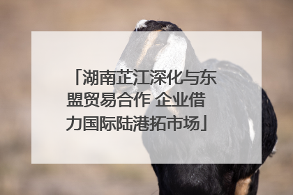 湖南芷江深化与东盟贸易合作 企业借力国际陆港拓市场