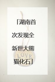 湖南首次发现全新世大熊猫化石