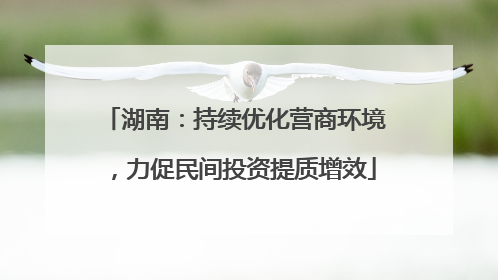 湖南：持续优化营商环境，力促民间投资提质增效