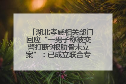 湖北孝感相关部门回应“一男子称被交警打断9根肋骨未立案”：已成立联合专班开展工作