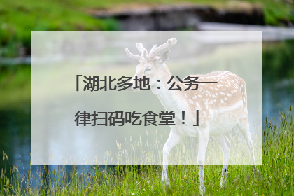 湖北多地：公务一律扫码吃食堂！