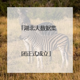 湖北大数据集团正式成立