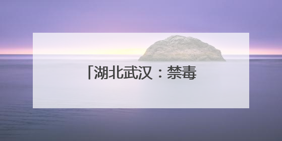 湖北武汉：禁毒宣传走进火车站