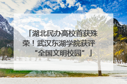 湖北民办高校首获殊荣！武汉东湖学院获评“全国文明校园”