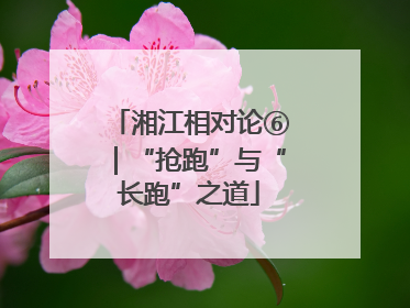 湘江相对论⑥｜“抢跑”与“长跑”之道