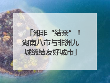 湘非“结亲”！湖南八市与非洲九城缔结友好城市