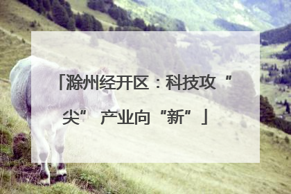 滁州经开区：科技攻“尖” 产业向“新”