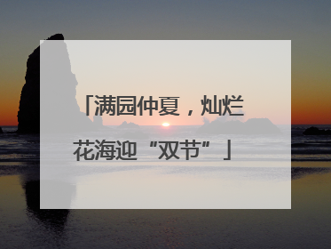 满园仲夏，灿烂花海迎“双节”