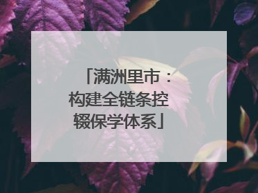 满洲里市：构建全链条控辍保学体系