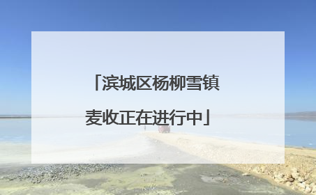 滨城区杨柳雪镇麦收正在进行中