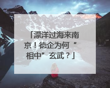 漂洋过海来南京！德企为何“相中”玄武？