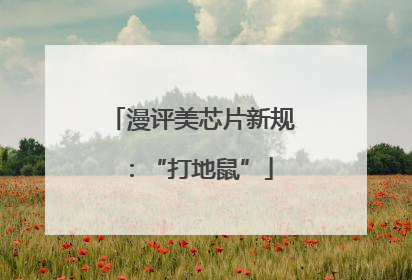 漫评美芯片新规：“打地鼠”