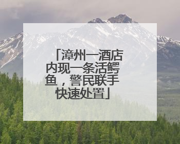 漳州一酒店内现一条活鳄鱼，警民联手快速处置