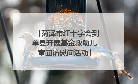 菏泽市红十字会到单县开展基金救助儿童回访慰问活动