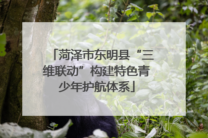 菏泽市东明县“三维联动”构建特色青少年护航体系