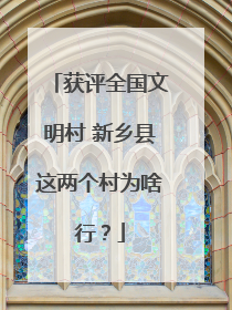 获评全国文明村 新乡县这两个村为啥行？