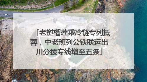 老挝榴莲乘冷链专列抵蓉，中老班列公铁联运出川分拨专线增至五条