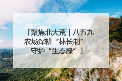 聚焦北大荒｜八五九农场深耕“林长制” 守护“生态绿”